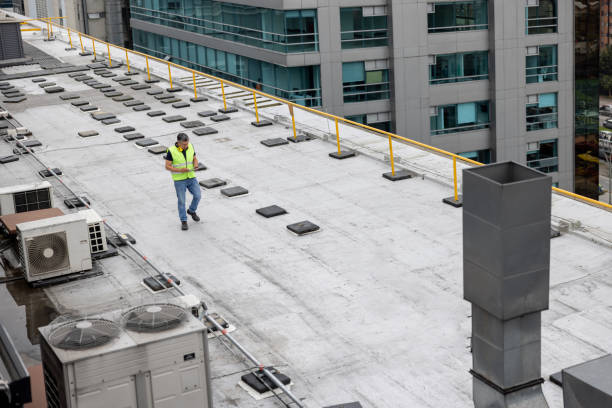 Best Roof Maintenance and Cleaning  in Manassas Park, VA
