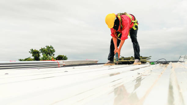 Best Gutter Installation and Repair  in Manassas Park, VA