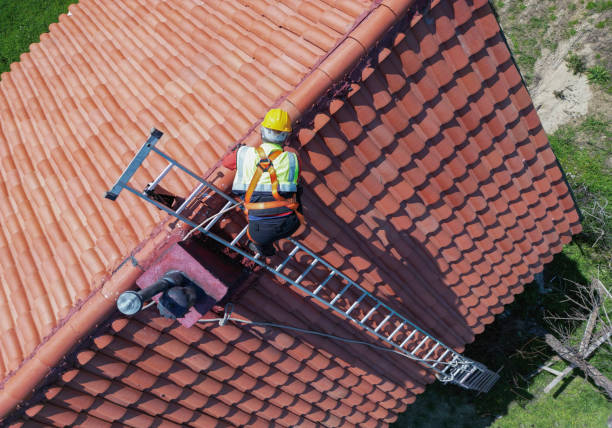 Best Skylight Installation and Repair  in Manassas Park, VA