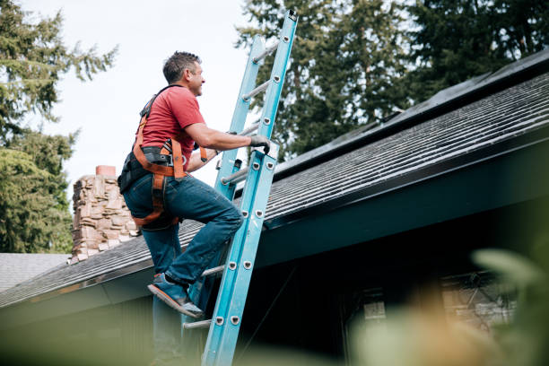Best Flat Roofing  in Manassas Park, VA